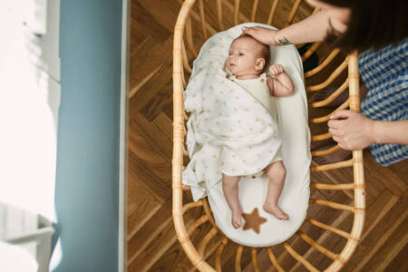 Bassinet sheets PINK & PLANTS